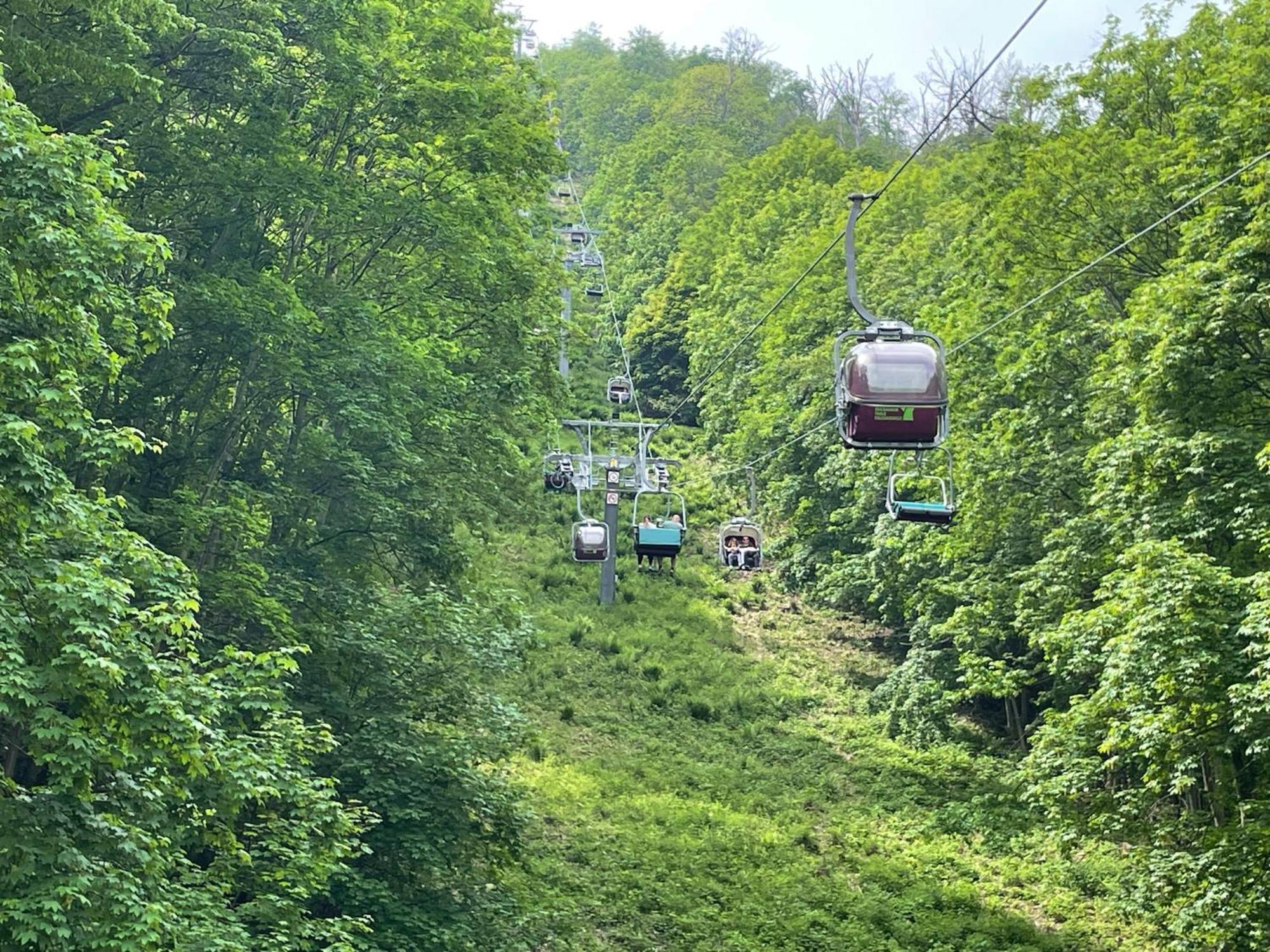 Harzhotel Warnstedter Krug Thale Zewnętrze zdjęcie